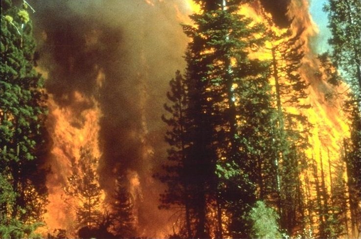 Firefighters struggle to contain deadly Greek wildfire