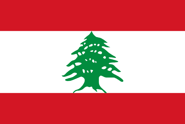 Israeli military claims killing Hezbollah operative in South Lebanon