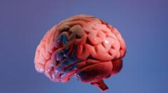 How Indian scientists are mapping the brain’s last frontier
