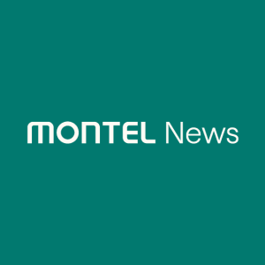 EU to lose out to Asia for LNG amid Iran war – Equinor – Montel News