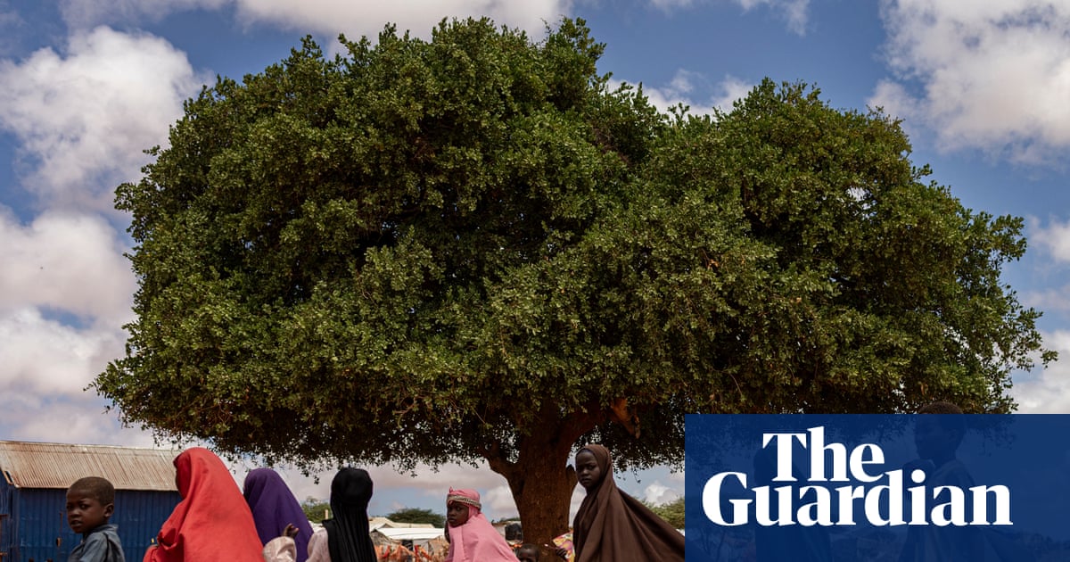 Aid cuts will harm lives and livelihoods in Somalia | Letter