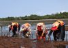 Most Parts of East Africa Likely to be Dry – Science Africa