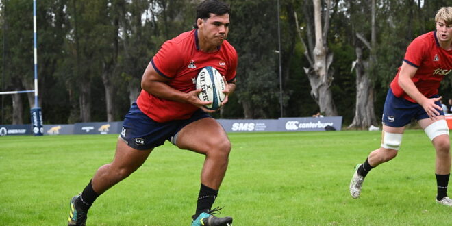 USA Center Dominic Besag Signs for Sharks in South Africa – Americas Rugby News