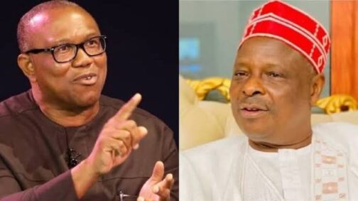 Nigeria, others set to send troops to Mali – PM News Nigeria