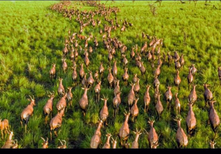 South Sudan’s Boma–Badingilo Landscape Becomes First UNESCO World Heritage Site