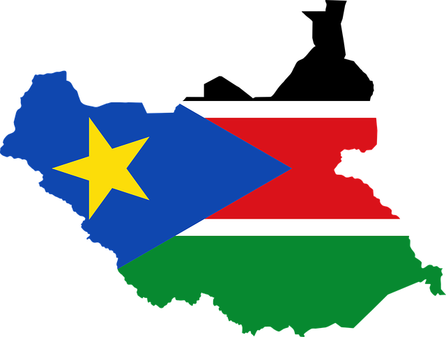 How To Fix South Sudan Economy?