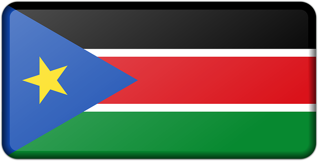 South Sudan Crisis